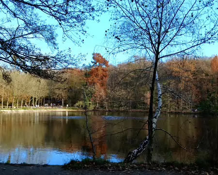 036 Lumière du soir sur l’étang de Saint-Cucufa