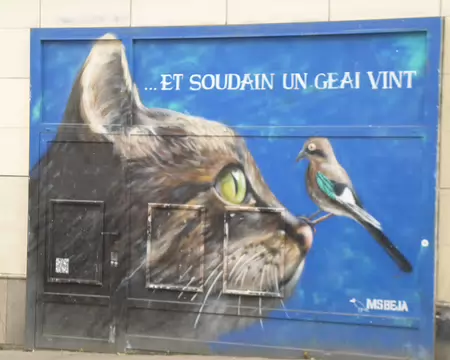 P1220205 Sur la devanture du supermarché G20, rue de Tourtille