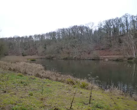 P1220454 Etang du Moulin au Renard