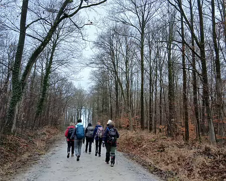 003 Arrivée dans la forêt domaniale de Versailles au sud-est de Saint-Cyr