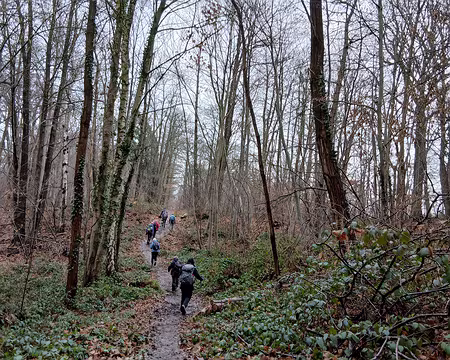 006 Immédiatement suivie d’une montée dans le bois vallonné de Satory