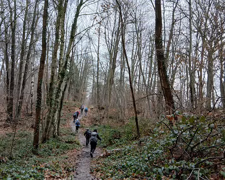 006 Immédiatement suivie d’une montée dans le bois vallonné de Satory