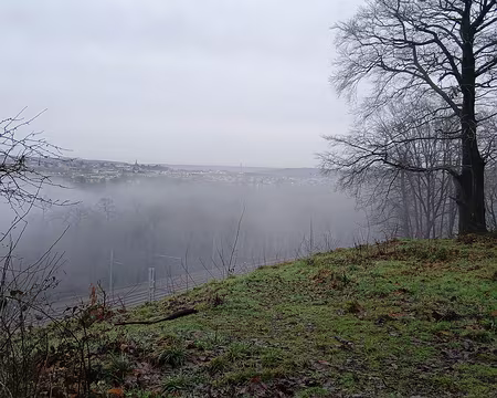 013 Versailles dans la brume. On aperçoit la cathédrale Saint-Louis
