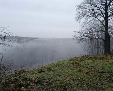 013 Versailles dans la brume. On aperçoit la cathédrale Saint-Louis