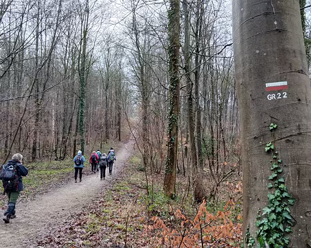 018 Le GR 22 dans le bois de Satory vers les étangs de la Bièvre