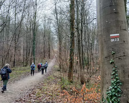 018 Le GR 22 dans le bois de Satory vers les étangs de la Bièvre