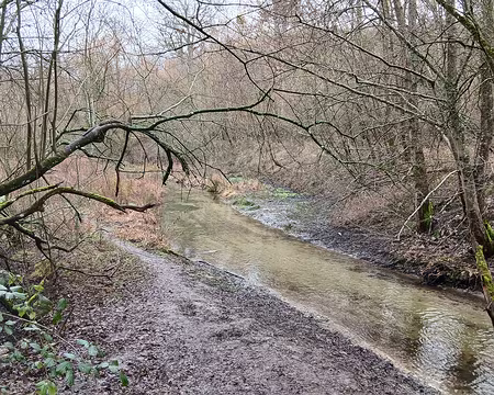 022 La Bièvre, affluent de la Seine, en amont de l’étang de la Geneste
