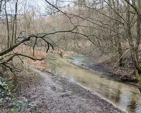 022 La Bièvre, affluent de la Seine, en amont de l’étang de la Geneste