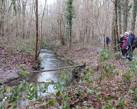 025 A la recherche de moules d’eau douce