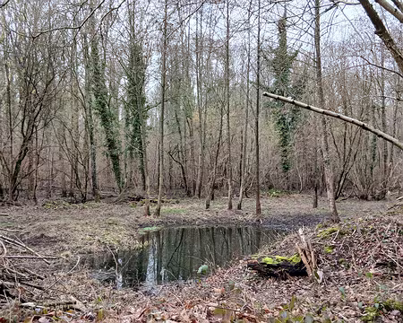 026 Petite mare entre deux étangs