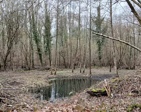 026 Petite mare entre deux étangs