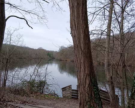 028 L’étang du Val d’Or (5 ha) est le premier étang de la Minière (en aval)