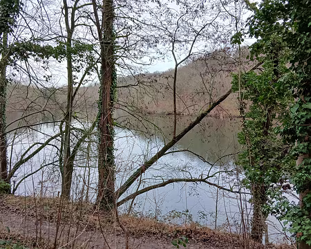 030 L’étang du Val d’Or vu depuis la route des Sources (de la Bièvre) sur la rive sud