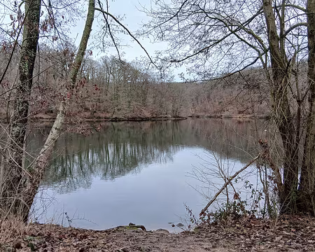 037 L’étang du Moulin à Renard. Les berges des étangs sont gérées par l’ONF