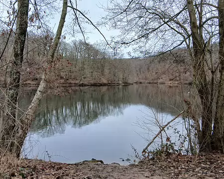 037 L’étang du Moulin à Renard. Les berges des étangs sont gérées par l’ONF