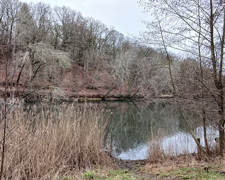 039 L’étang Braque forme, avec l’étang du Moulin à Renard, un plan d’eau de 15 ha