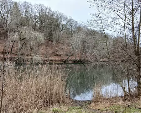 039 L’étang Braque forme, avec l’étang du Moulin à Renard, un plan d’eau de 15 ha