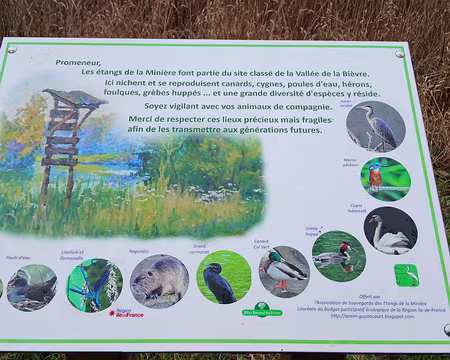 040 Les étangs de la Minière et la biodiversité