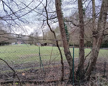 042 Chevaux près du hameau de Bouviers