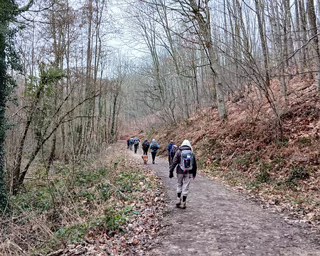 047 La route forestière de la Fontaine blanche longe le ru du Bois Robert