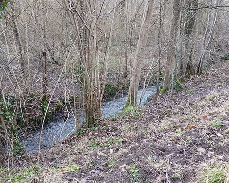 048 Le ru du Bois Robert, petit affluent de la Bièvre