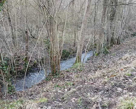 048 Le ru du Bois Robert, petit affluent de la Bièvre