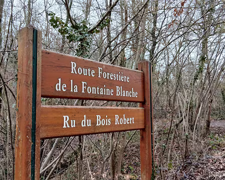 049 La route de la Fontaine blanche en direction de Saint-Cyr