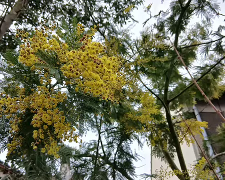 050 Merci Martine pour cette belle randonnée autour des étangs des sources de la Bièvre