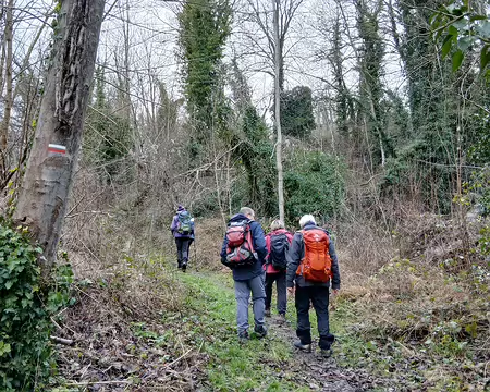 010 Le GR dans les bois