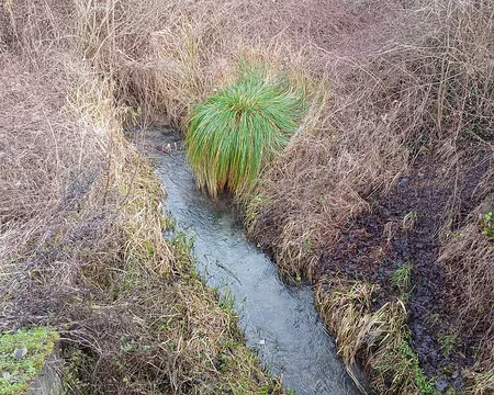 020 La Gergogne (12 km), petit affluent de l’Ourcq
