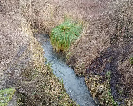 020 La Gergogne (12 km), petit affluent de l’Ourcq