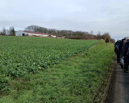 021 Bâtiments agricoles et champ de betteraves