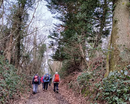 023 Montée dans le Bois Monsieur