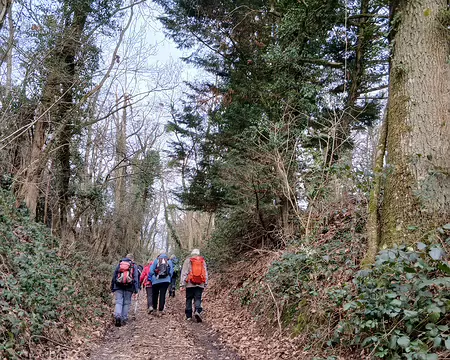 023 Montée dans le Bois Monsieur