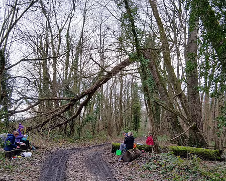 024 Pique-nique dans le Bois Monsieur
