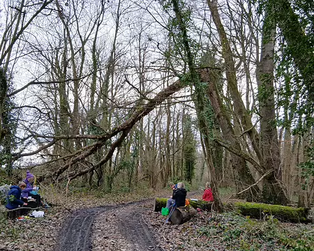 024 Pique-nique dans le Bois Monsieur