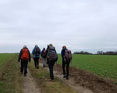 025 Vastes étendues agricoles sur le plateau