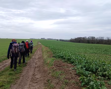 026 Paysage du Multien. Au loin, le village de Rouvres
