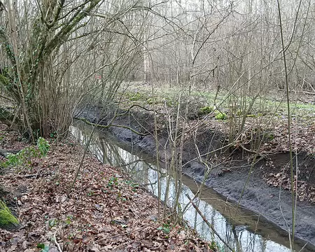 041 Le Grand Fossé (de drainage), rectiligne, traverse tout le marais