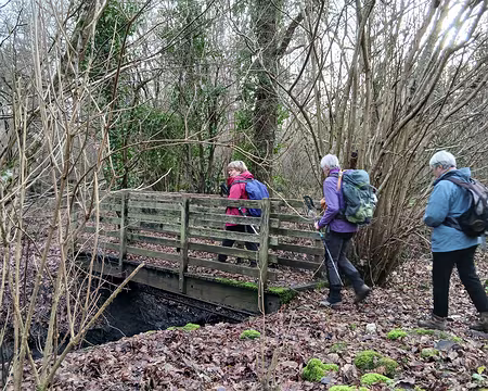 042 Passerelle au-dessus du Grand Fossé
