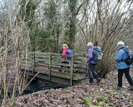 042 Passerelle au-dessus du Grand Fossé