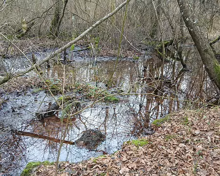 044 Au XIXème siècle des tourbières étaient exploitées dans le Marais de Négando