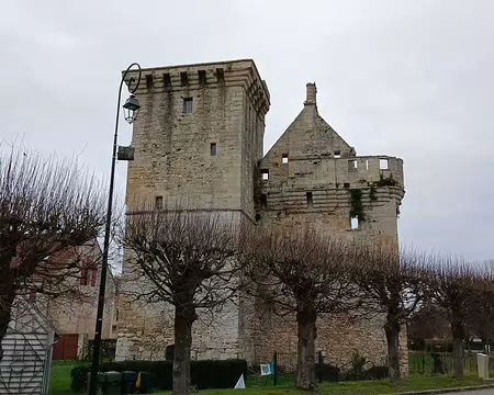 050 Merci Martine pour cette belle randonnée dans le Multien