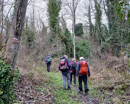 010 Le GR dans les bois
