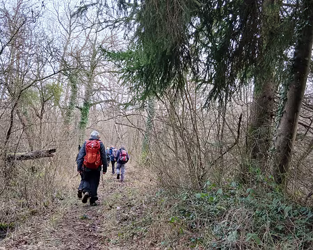 045 Le Bois de la Garenne au sud du Marais de Négando
