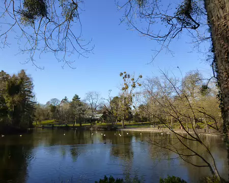 P1220414 Lac de Saint-Mandé