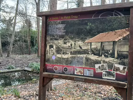 2026-01 Forêt de Bois-d'Arcy