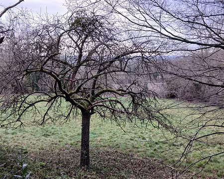 004 La campagne en hiver