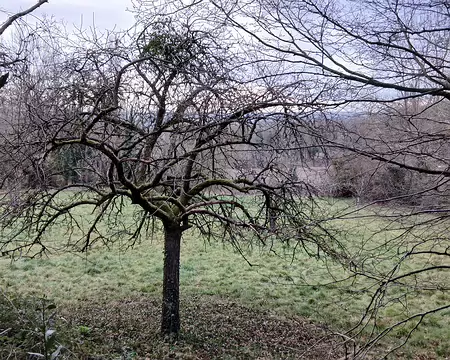 004 La campagne en hiver