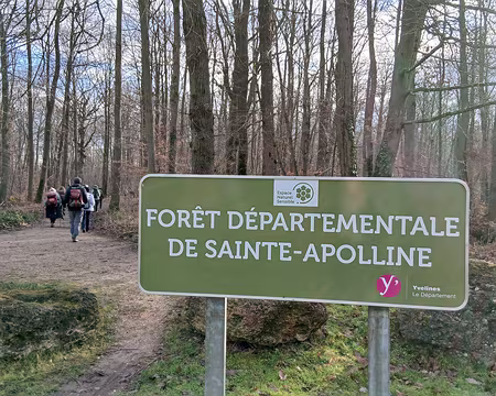 015 Arrivée dans la forêt départementale de Sainte-Apolline par la rue de Villancy à Neauphle-le-Château